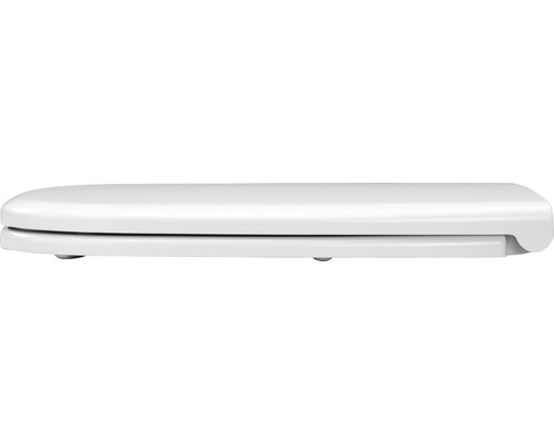 Toilettendeckel aus Kunststoff