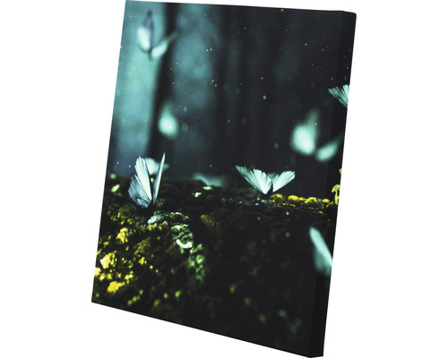 Leinwandbild mit Schmetterlingsmotiv