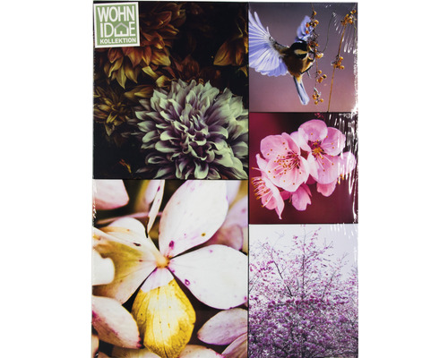 Wohnidee Kollektion Tapetenmuster mit Blumen und Vogelmotiven