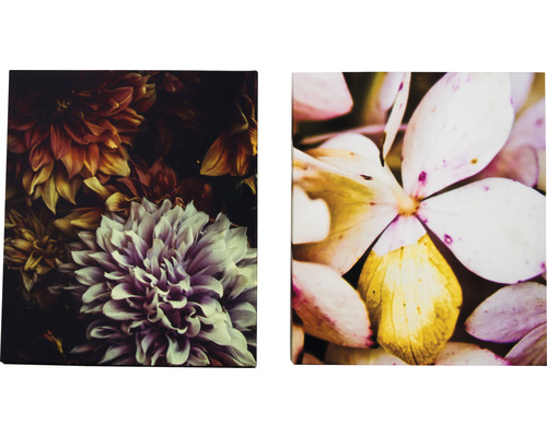 Zwei Leinwandbilder mit Blumenmotiven
