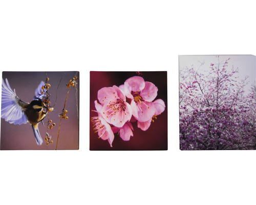 Drei Leinwandbilder mit Vogel, Blüten und blühendem Baum