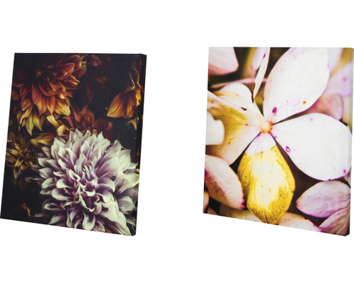 Zwei Leinwandbilder mit Blumenmotiven