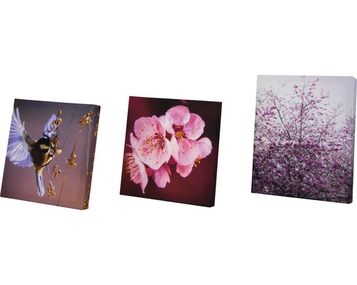 Drei Leinwandbilder mit Vogel- und Blumenmotiven