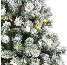 Nahaufnahme eines beschneiten Weihnachtsbaums mit Lichtern.
