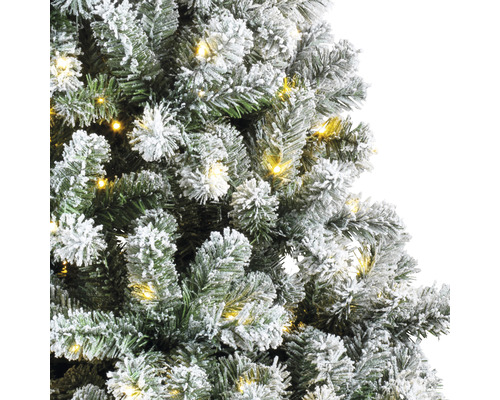 Nahaufnahme eines beschneiten Weihnachtsbaums mit Lichtern.