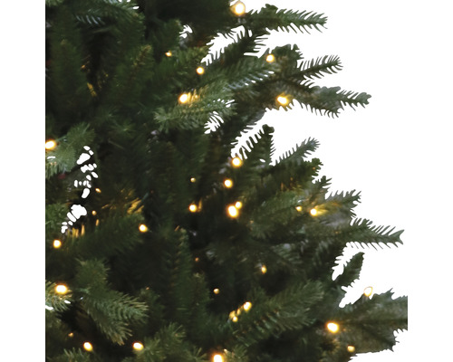 Detailansicht eines mit Lichtern geschmückten Weihnachtsbaums