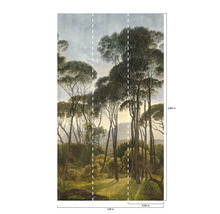 Fototapete mit Waldmotiv und Größenangaben