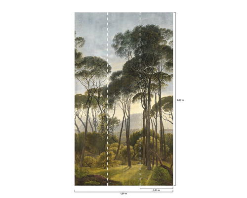 Fototapete mit Waldmotiv und Größenangaben