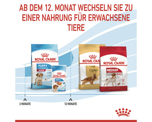 Royal Canin Hundeernährungsempfehlung für Welpen und erwachsene Hunde