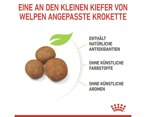 Welpenfutter-Krokette mit natürlichen Antioxidantien, ohne künstliche Farbstoffe und Aromen