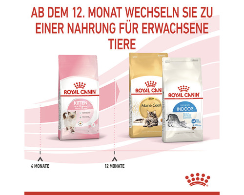 Drei Packungen Royal Canin Katzenfutter für verschiedene Altersstufen