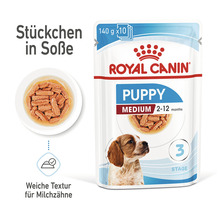Royal Canin Puppy Medium Hundefutter im Frischebeutel