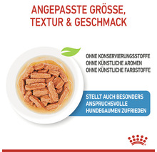 Hundenassfutter mit angepasster Größe, Textur und Geschmack im Teller