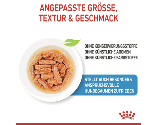 Hundenassfutter mit angepasster Größe, Textur und Geschmack im Teller