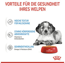 Welpe mit Futter von Royal Canin in roter Schale