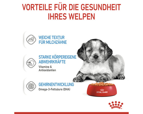 Welpe mit Futter von Royal Canin in roter Schale