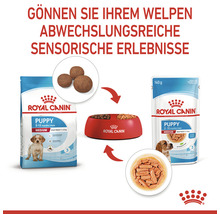 Royal Canin Puppy Hundefutter für Welpen als Trocken- und Nassfutter