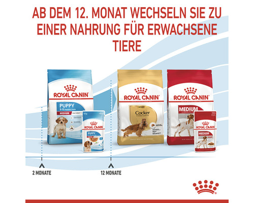 Royal Canin Hunde Futter Timeline von Welpen zu Erwachsenen Tieren
