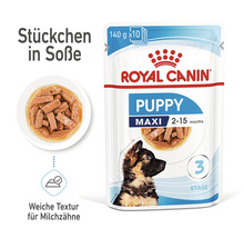 Royal Canin Puppy Maxi Hundefutter im Frischebeutel