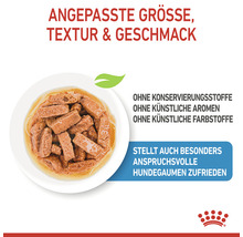 Hundefutter mit angepasster Größe, Textur und Geschmack auf einem Teller