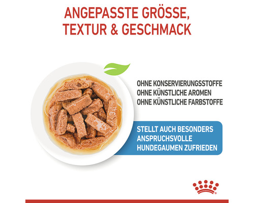 Hundefutter mit angepasster Größe, Textur und Geschmack auf einem Teller
