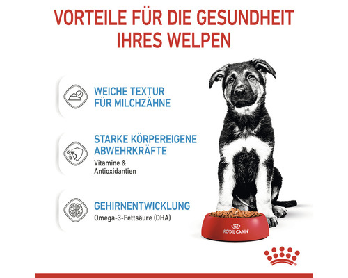 Welpe sitzt vor einem Napf mit Hundefutter der Marke Royal Canin, hervorgehoben werden die Vorteile für die Gesundheit des Welpen.