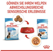 Royal Canin Puppy Maxi Trocken- und Nassfutter für Welpen