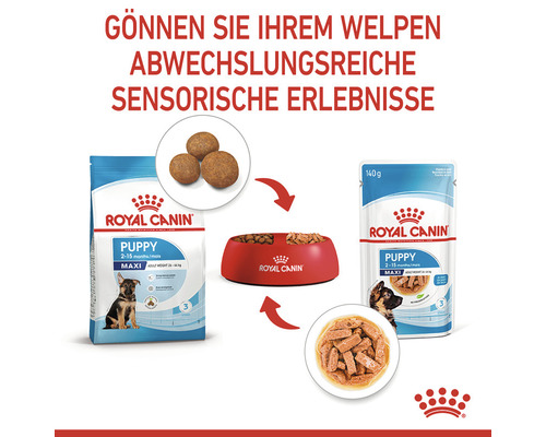 Royal Canin Puppy Maxi Trocken- und Nassfutter für Welpen