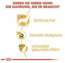 Vorteile von Hundefutter: schönes Fell, höchste Akzeptanz und Unterstützung für gesundes Altern