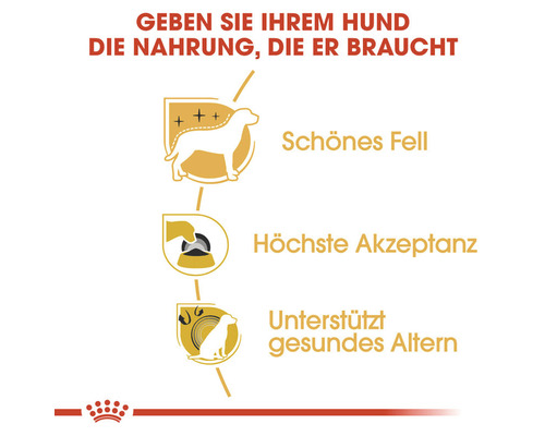 Vorteile von Hundefutter: schönes Fell, höchste Akzeptanz und Unterstützung für gesundes Altern
