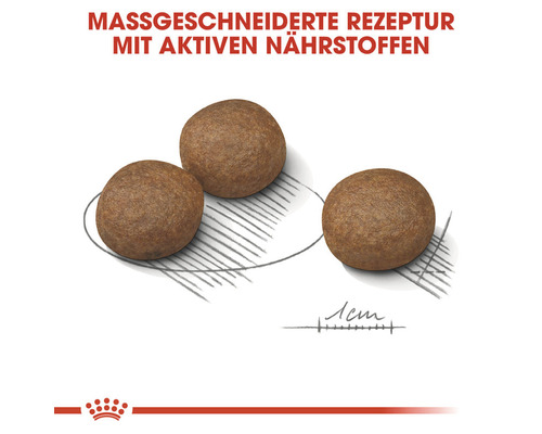 Drei Kugeln Trockenfutter für Hunde