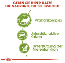 Grafik zu den Vorteilen von Katzenfutter: Vitalitätskomplex, Unterstützung aktiver Katzen, Unterstützung der Nierenfunktion