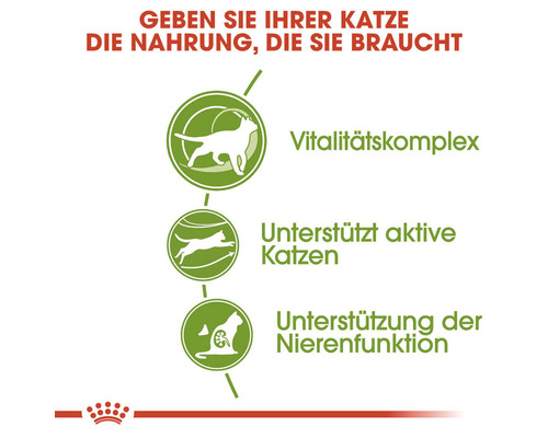 Grafik zu den Vorteilen von Katzenfutter: Vitalitätskomplex, Unterstützung aktiver Katzen, Unterstützung der Nierenfunktion