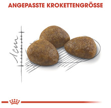Abbildung von drei Kroketten zur Darstellung der Krokettengröße für Tierfutter.