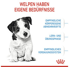 Welpe mit Informationen zu besonderen Bedürfnissen