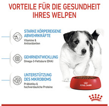 Illustration der gesundheitlichen Vorteile von Royal Canin Welpenfutter mit einem Welpen und einer Futterschale.