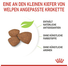 Krokette angepasst an den kleinen Kiefer von Welpen, enthält natürliche Antioxidantien, ohne künstliche Farbstoffe, ohne künstliche Aromen