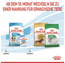 Royal Canin Hunde Trockenfutter für Welpen und ausgewachsene Tiere