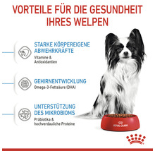 Hundefutter trocken ROYAL CANIN X-Small Puppy Trockenfutter für Welpen sehr kleine Hunderassen 1,5 kg