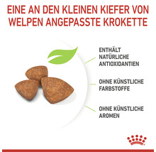 Hundefutter trocken ROYAL CANIN X-Small Puppy Trockenfutter für Welpen sehr kleine Hunderassen 1,5 kg