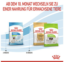 Hundefutter trocken ROYAL CANIN X-Small Puppy Trockenfutter für Welpen sehr kleine Hunderassen 1,5 kg