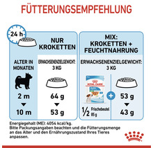 Hundefutter trocken ROYAL CANIN X-Small Puppy Trockenfutter für Welpen sehr kleine Hunderassen 1,5 kg