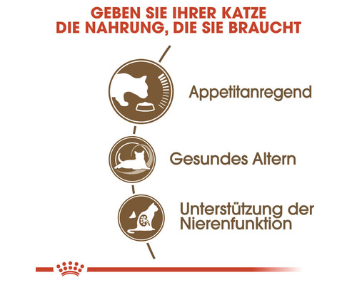 Appetite stimulation, healthy aging and support of kidney function for cats