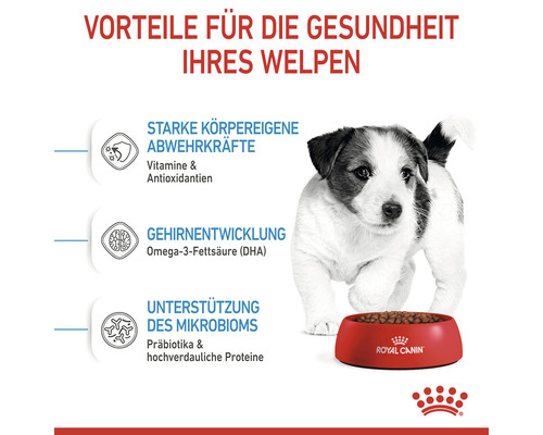 Welpe vor einer Schüssel Hundefutter, Informationen zu Vorteilen für die Gesundheit