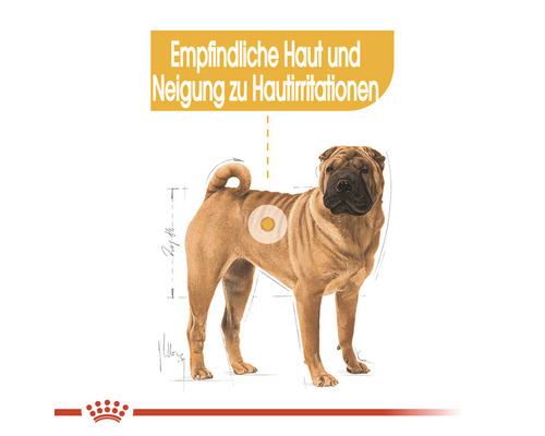 Illustration eines Shar Pei mit dem Hinweis auf empfindliche Haut und Neigung zu Hautirritationen