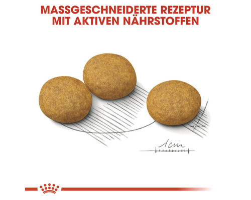 Drei Kroketten Hundefutter mit aktiven Nährstoffen