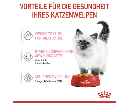 Katzenwelpe mit Futternapf und Informationen zu den Vorteilen für die Gesundheit.