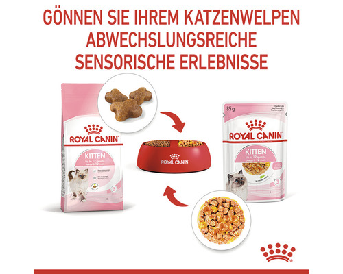 Royal Canin Kitten Katzennahrung als Trockenfutter und Nassfutter