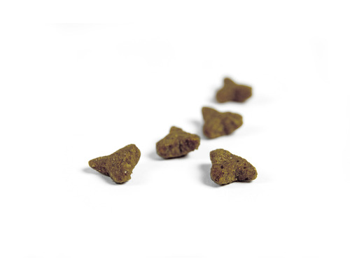 Fünf Stück Trockenfutter für Haustiere