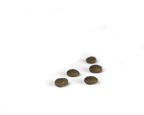 Fünf Pellets Tierfutter
